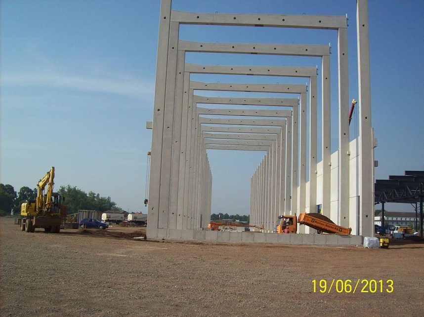 Das Skelett w&auml;chst