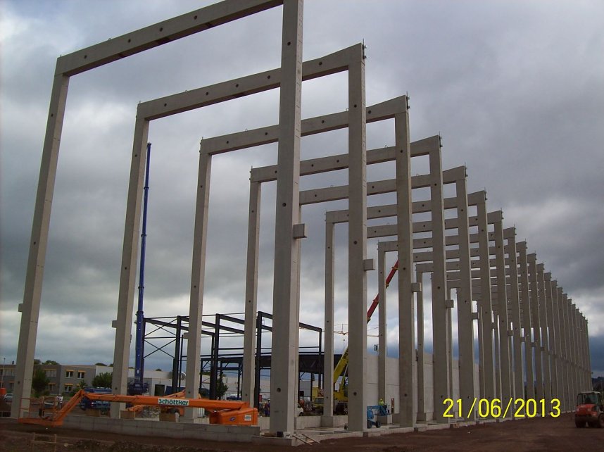 Das Skelett w&auml;chst