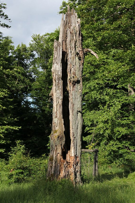 Am Abend auf dem Auerberg
