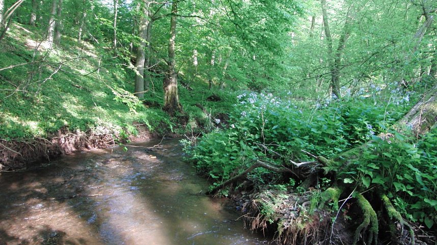 Das Steinm&uuml;hlental