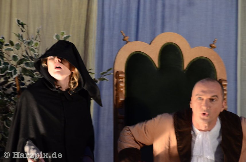 Der eingebildete Kranke