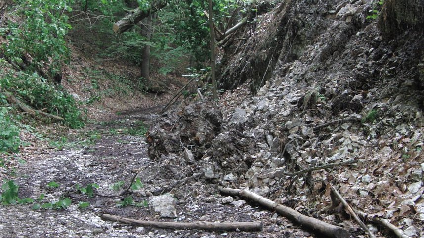 Bulldozer im Alten Stolberg