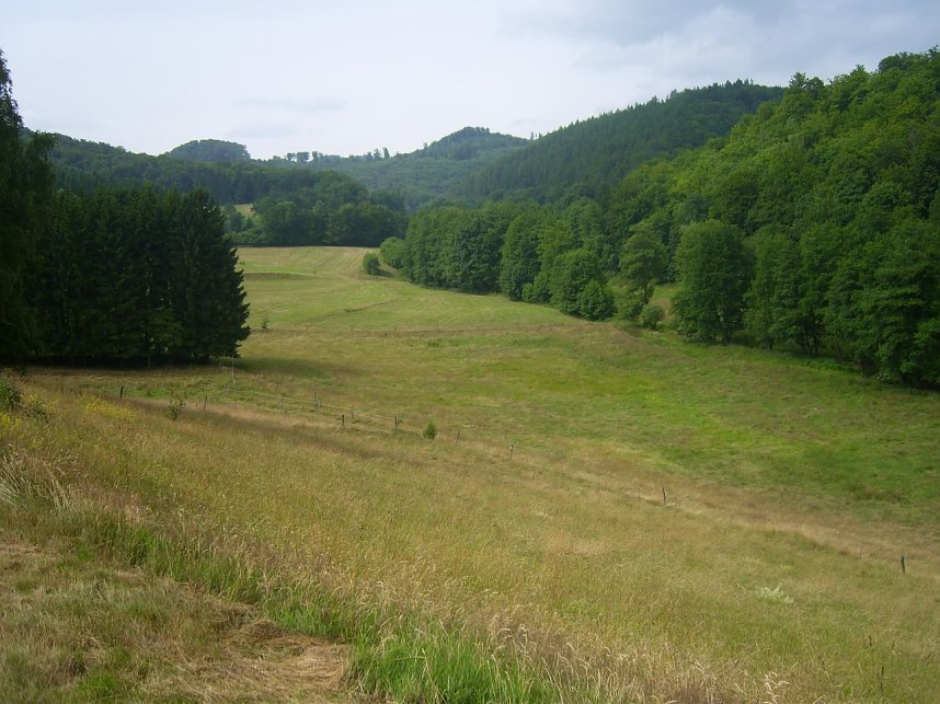 Das Fuhrbach-/Steinm&uuml;hlental