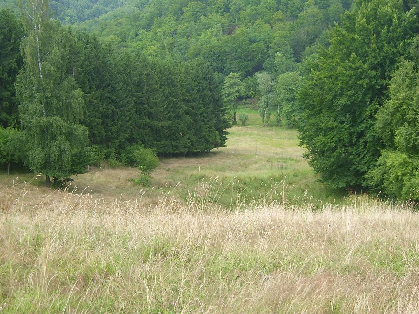 Das Fuhrbach-/Steinm&uuml;hlental