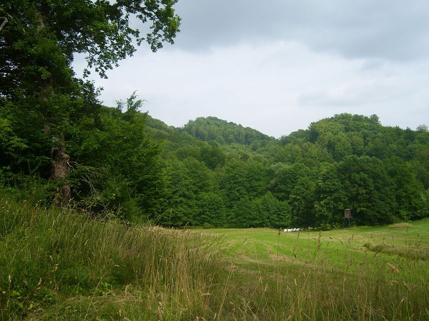 Das Fuhrbach-/Steinm&uuml;hlental