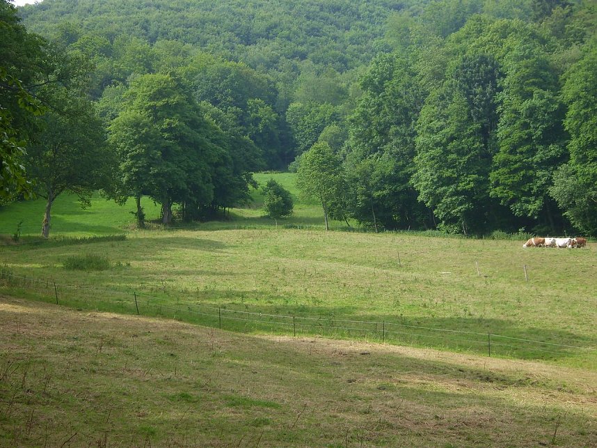 Das Fuhrbach-/Steinm&uuml;hlental