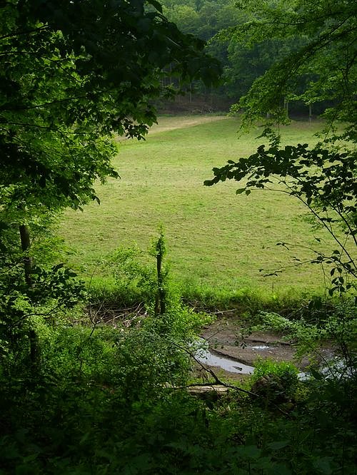 Das Fuhrbach-/Steinm&uuml;hlental