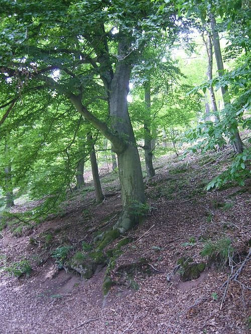 Das Fuhrbach-/Steinm&uuml;hlental