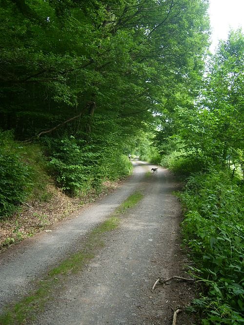 Das Fuhrbach-/Steinm&uuml;hlental