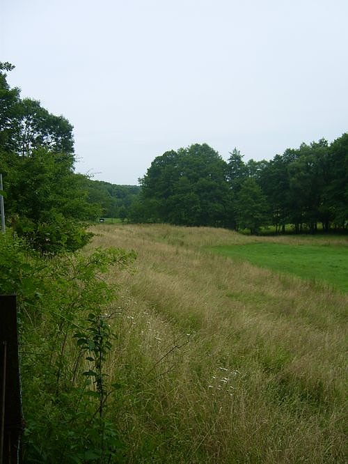Das Fuhrbach-/Steinm&uuml;hlental