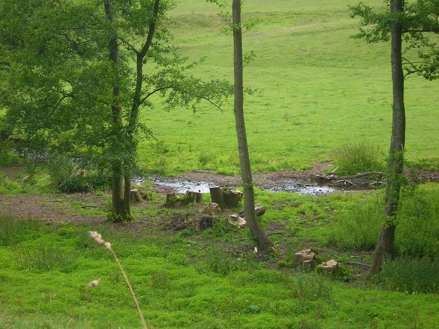 Das Fuhrbach-/Steinm&uuml;hlental