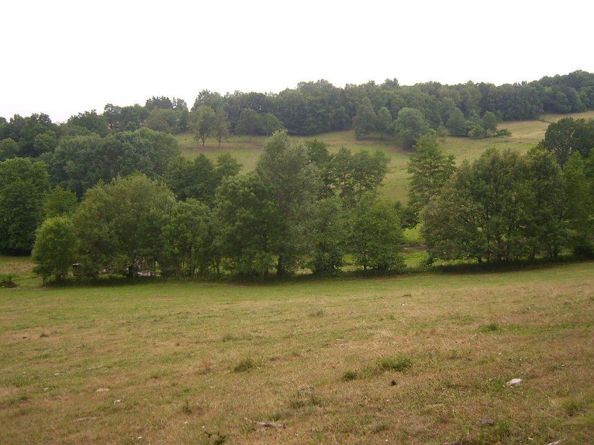 Das Fuhrbach-/Steinm&uuml;hlental