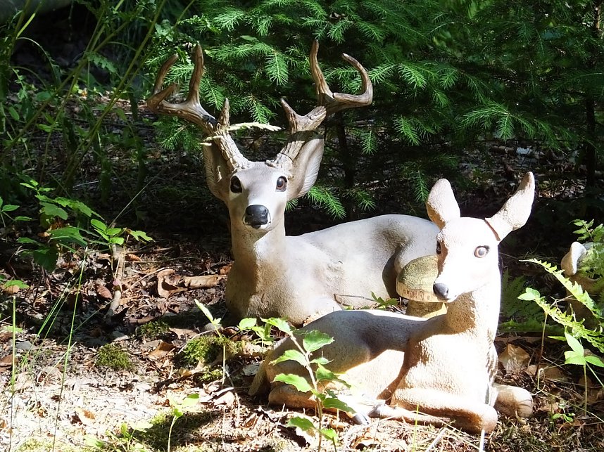 Im M&auml;rchengrund