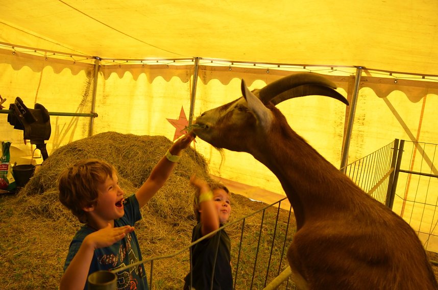 H&uuml;pfburgenland in Nordhausen