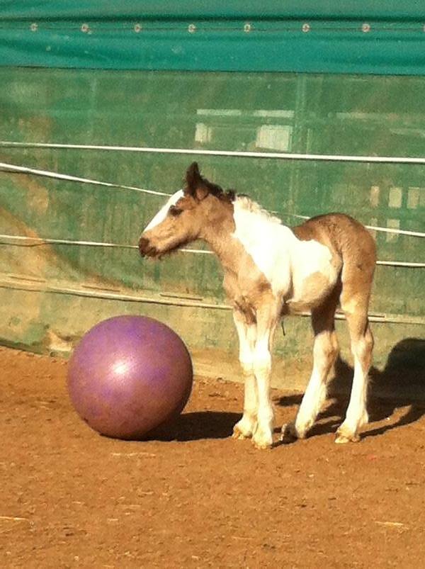 Zu sehen in Wollersleben