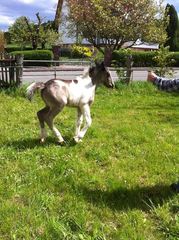 Zu sehen in Wollersleben