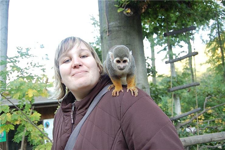 Affenwald Erlebnispark Strau&szlig;berg