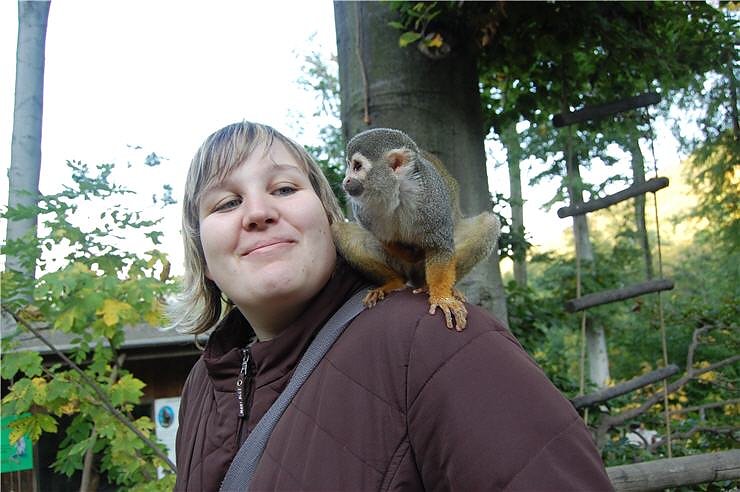 Affenwald Erlebnispark Strau&szlig;berg