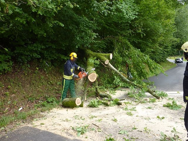 Baum umgest&uuml;rtzt