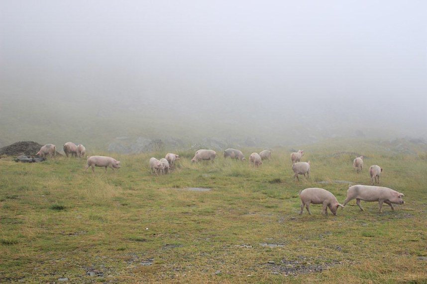 Ein fast vergessenes Land