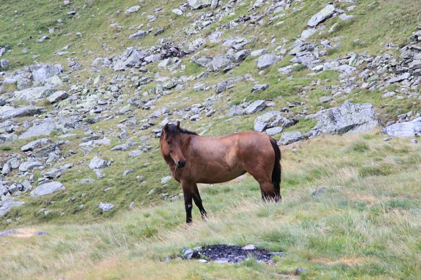 Ein fast vergessenes Land