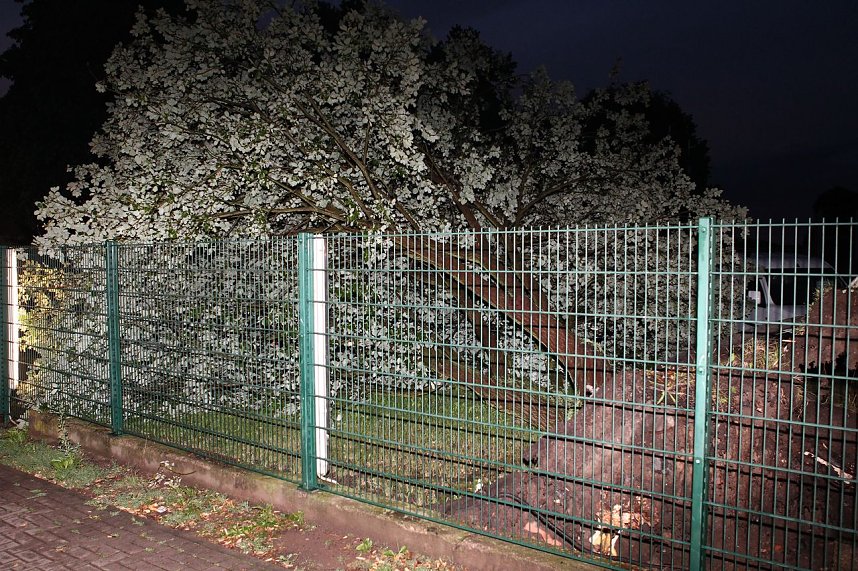 Unwetter in und um Nordhausen