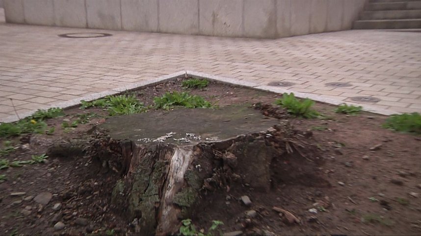 Bilder einer Wasserachse