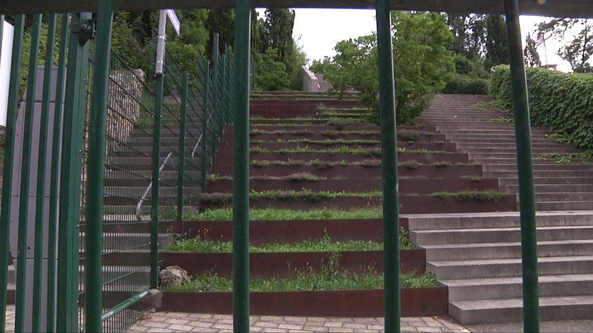 Bilder einer Wasserachse