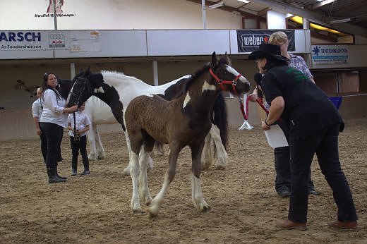 Bl&uuml;mchens Baily