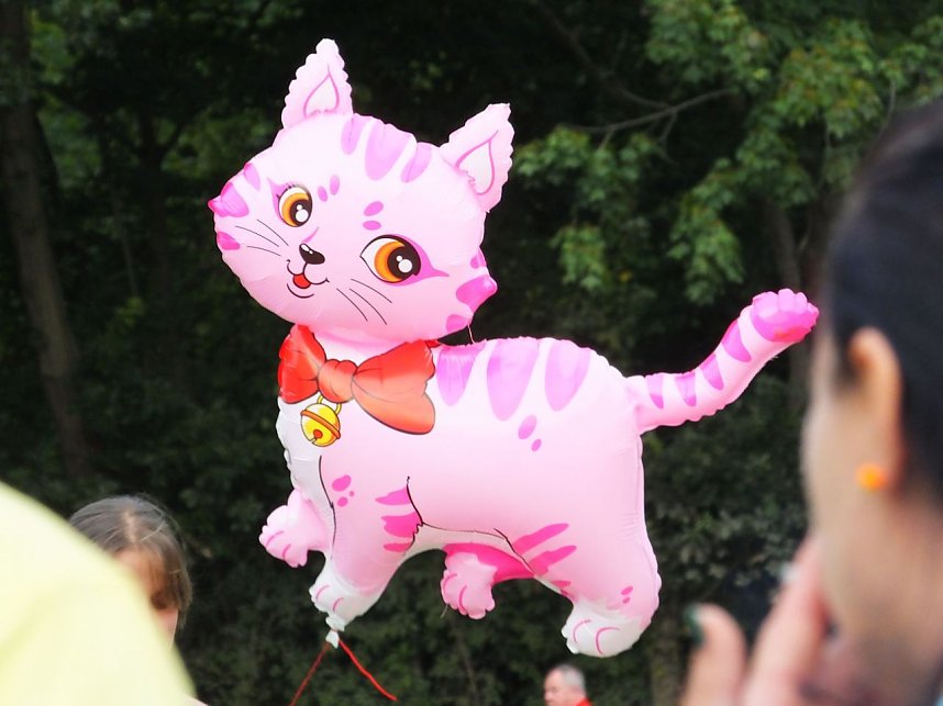 Laternenfest in Halle