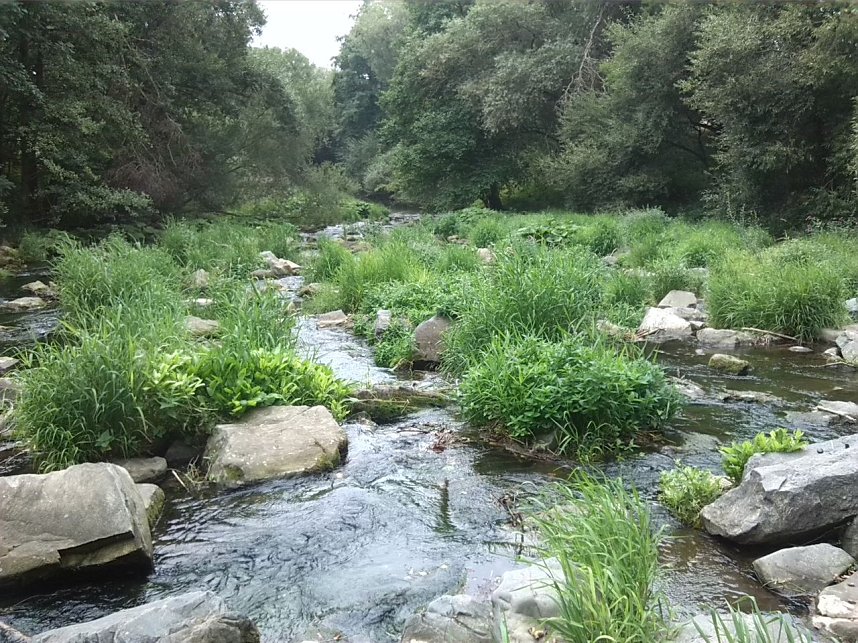 Exkursion entlang der Zorge