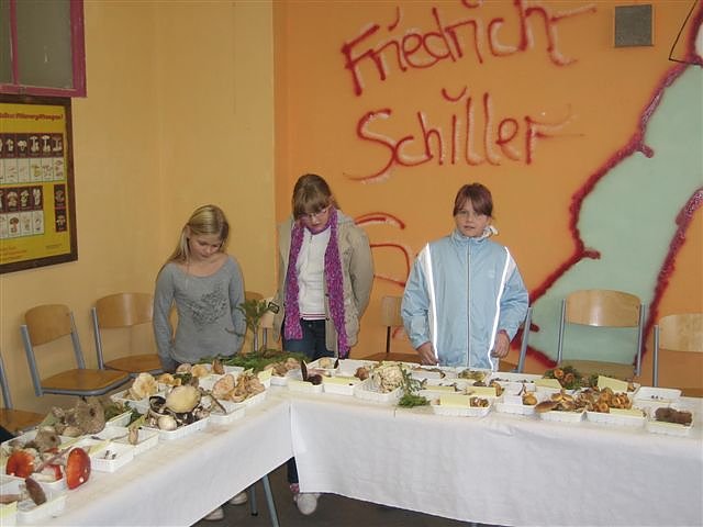 Pilze im Gymnasium