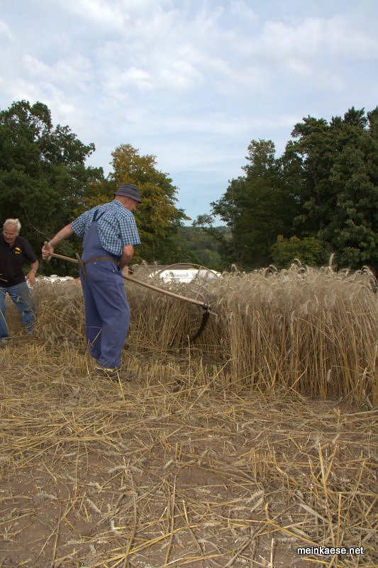 Schlepperfest in Herrmannsacker