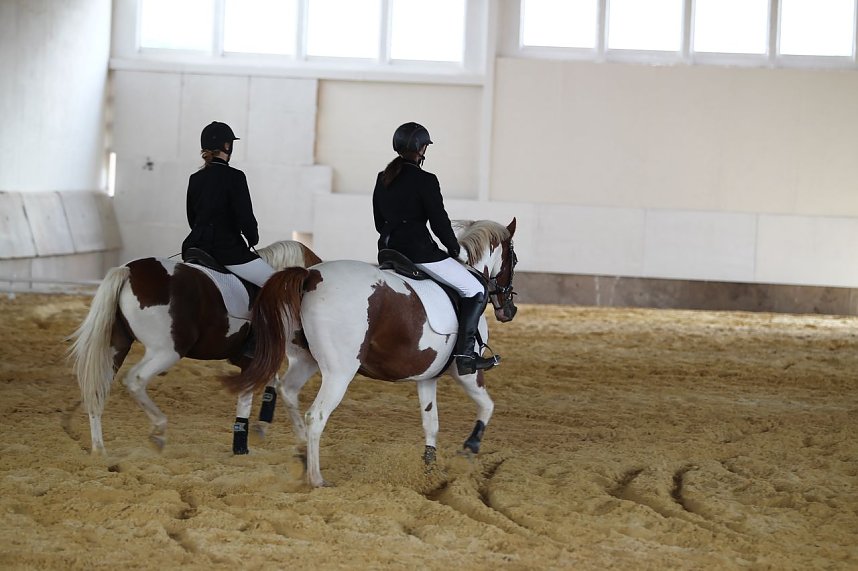 Besuch auf der Forst-Farm