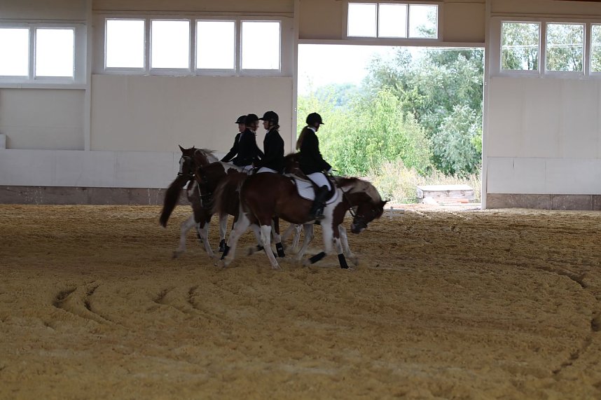 Besuch auf der Forst-Farm