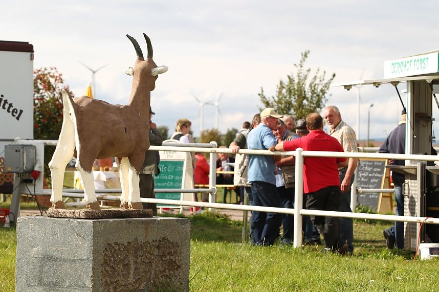 Besuch auf der Forst-Farm