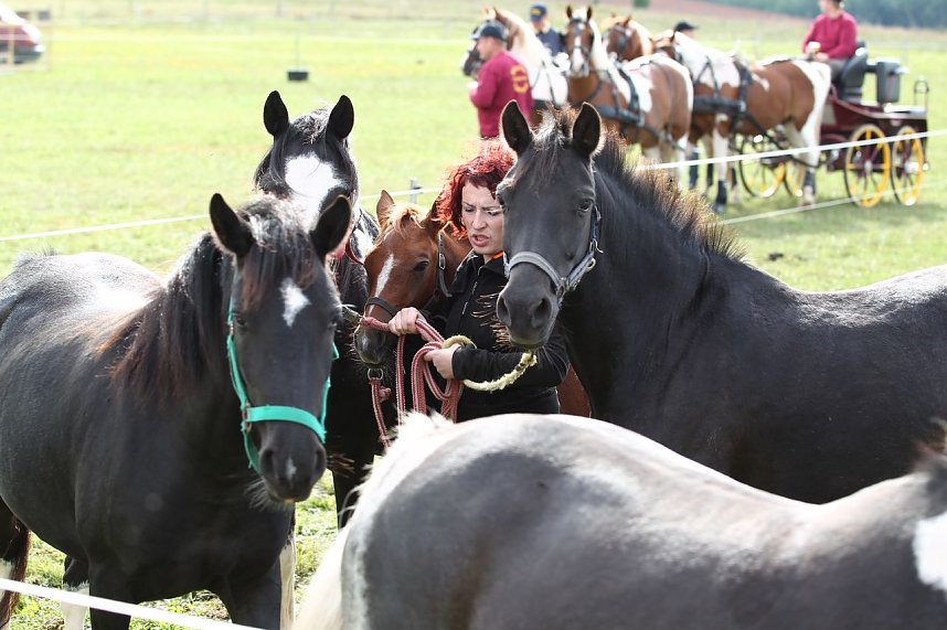 Besuch auf der Forst-Farm