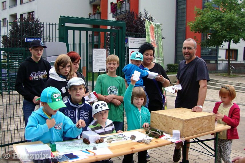 Treppenk&auml;ferfest Nordhausen