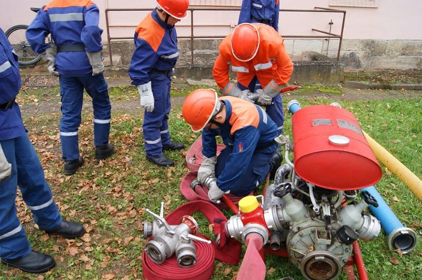 Der Nachwuchs kann sich sehen lassen