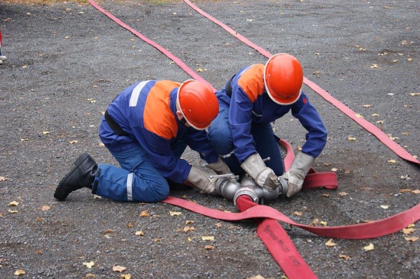 Der Nachwuchs kann sich sehen lassen