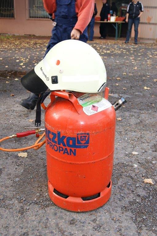 Der Nachwuchs kann sich sehen lassen