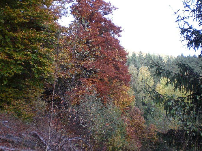 Unterwegs in S&uuml;lzhayn