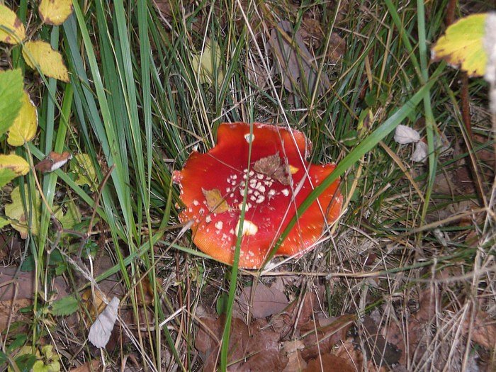 Unterwegs in S&uuml;lzhayn