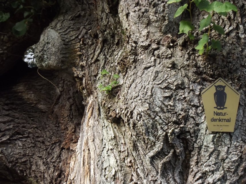 Ausflug nach Herrmannsacker