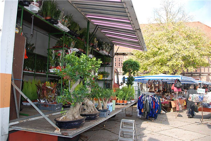 Marktschreier in Nordhausen