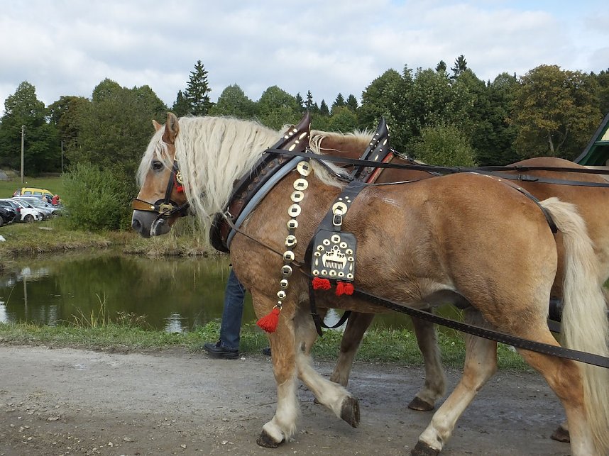 Erntedank in Benneckenstein