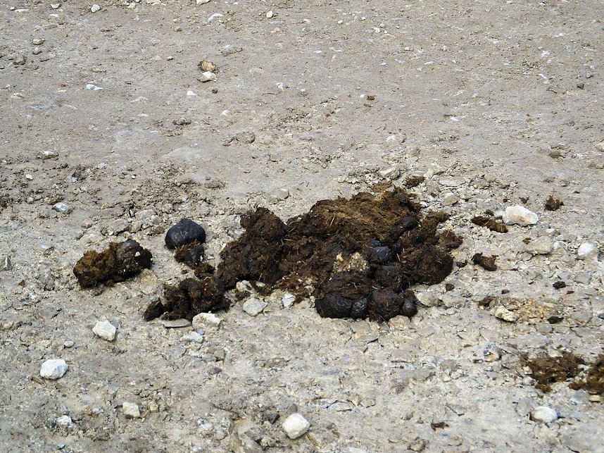 Erntedank in Benneckenstein