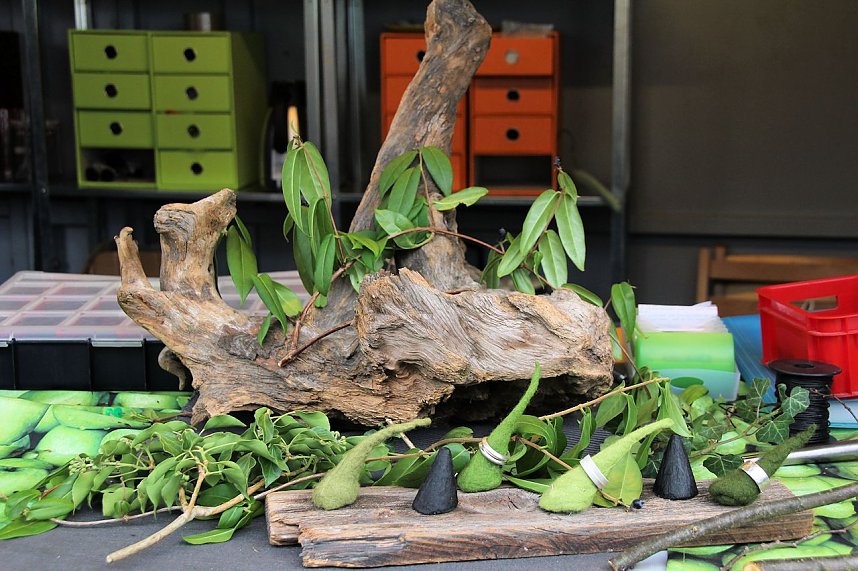 Klosterfest in Walkenried