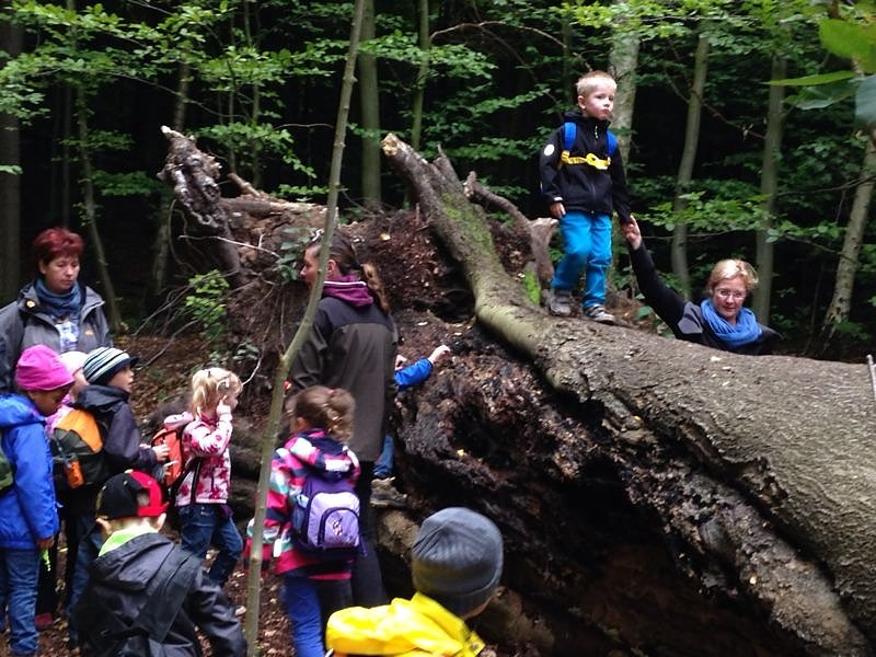 Im Wald was erleben und erfahren