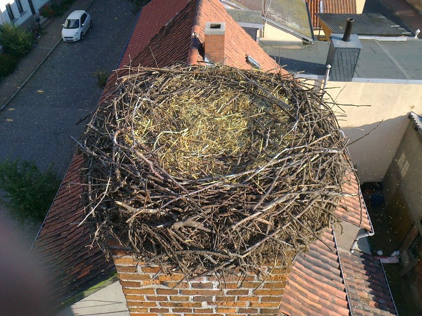 Nestputz in G&ouml;rsbach